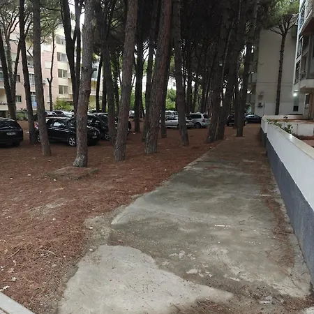 Adam Apartment *